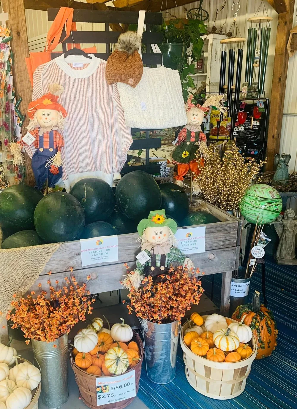 Fall produce and decor inside a local Annandale shop
